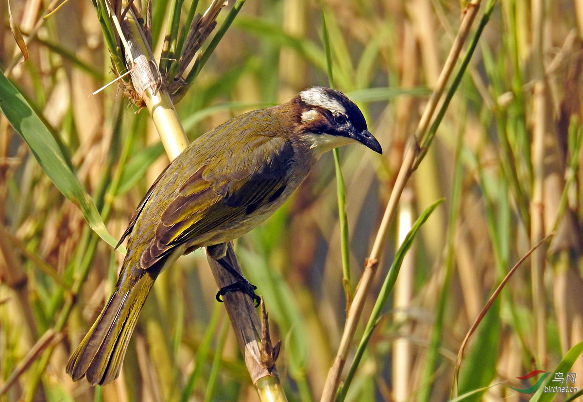 DSCN7450 ����.jpg