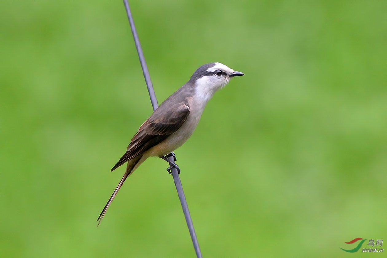 DSC_5707.JPG