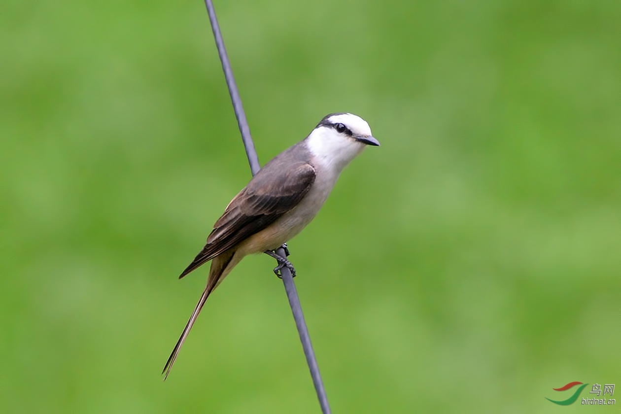 DSC_5714.JPG