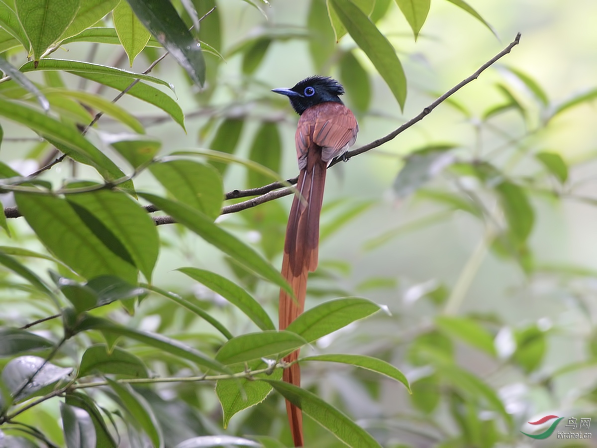 DSC_6387.JPG