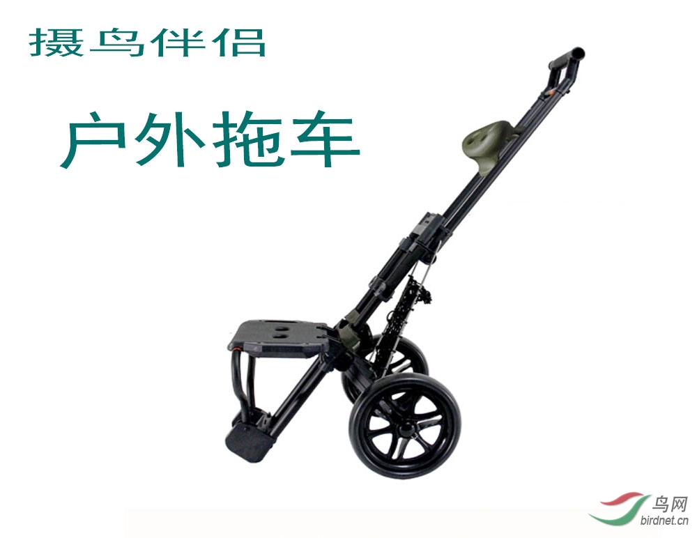 ���������ϳ�