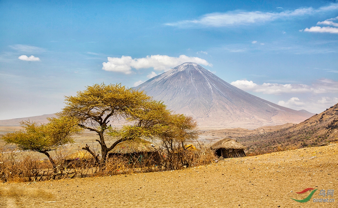 伦盖伊活火山-坦桑尼亚