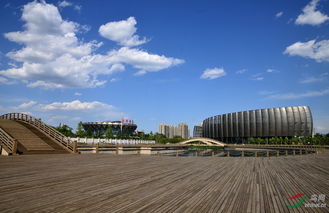 德州大剧院体育馆
