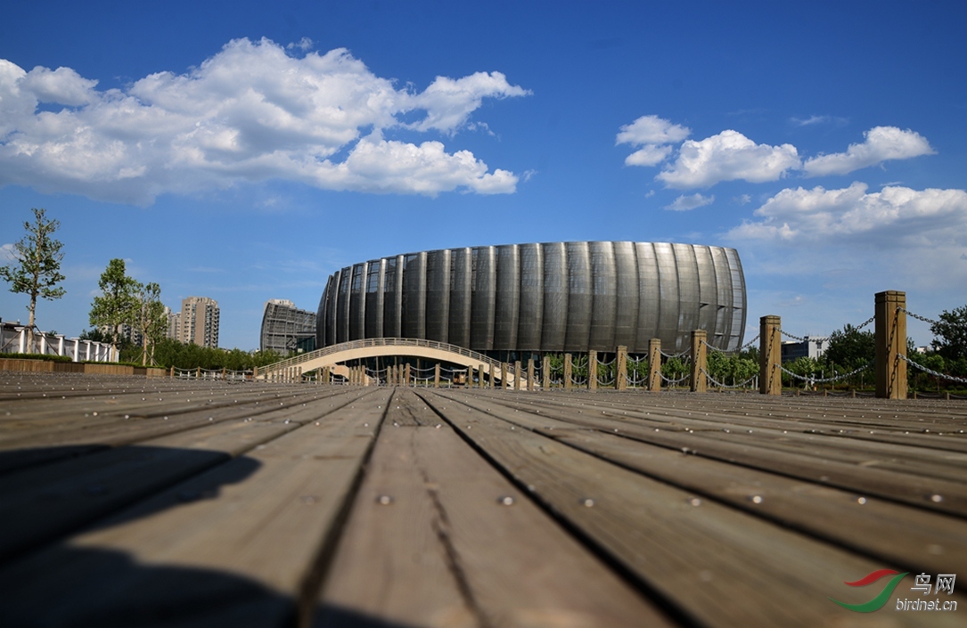 德州大剧院体育馆