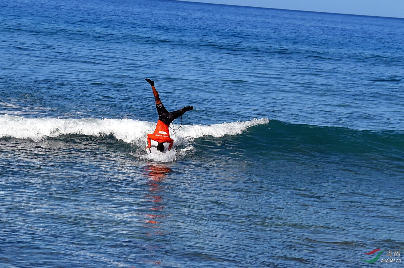 【倒立】海上滑水风光