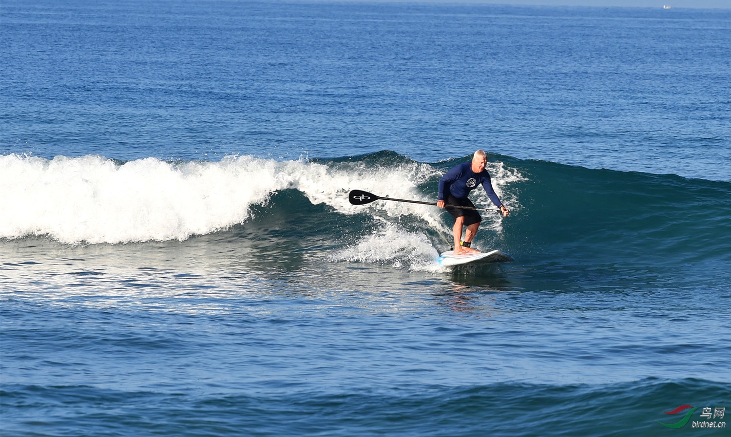 【倒立】海上滑水风光