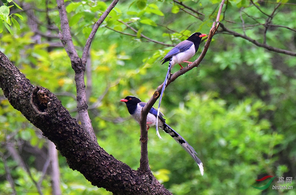 DSC_4630_����.jpg