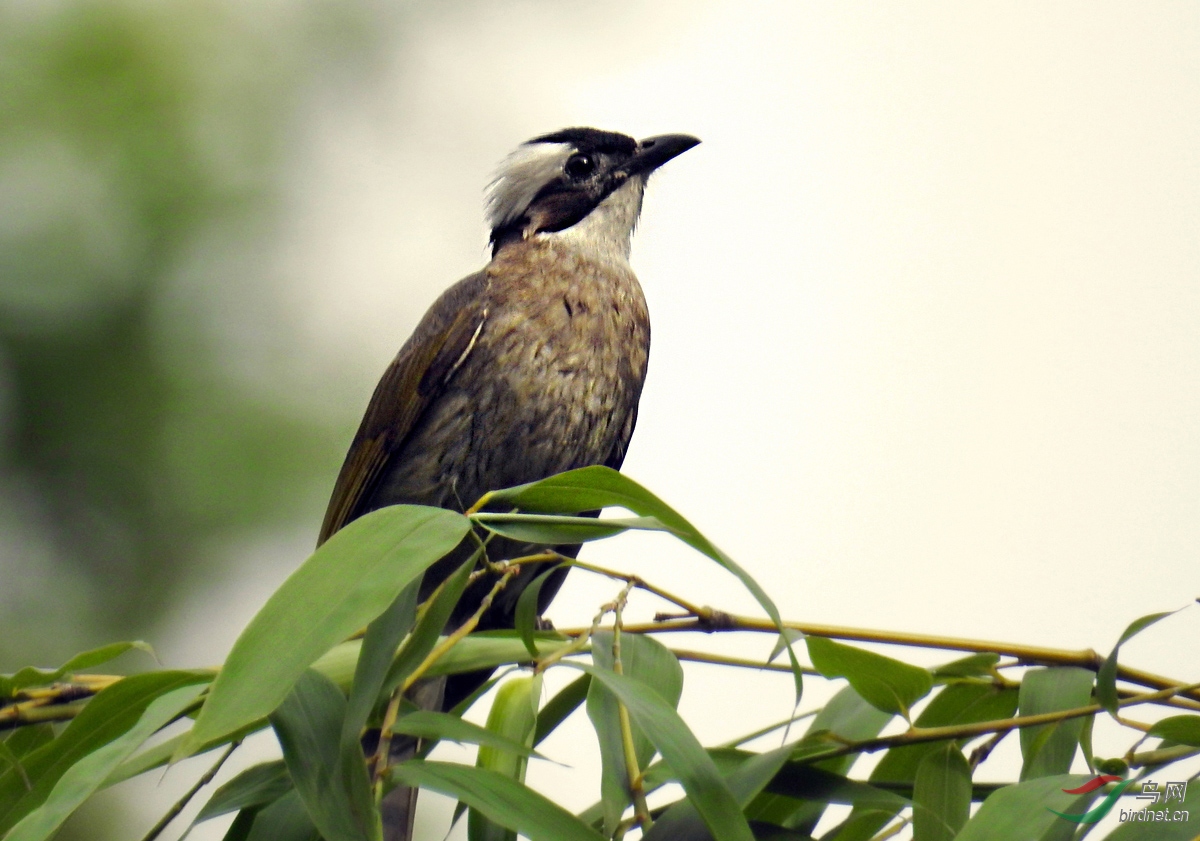 DSCN0535 ����2.jpg