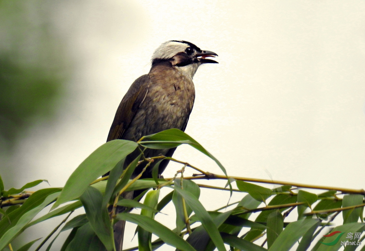 DSCN0536 ����2.jpg