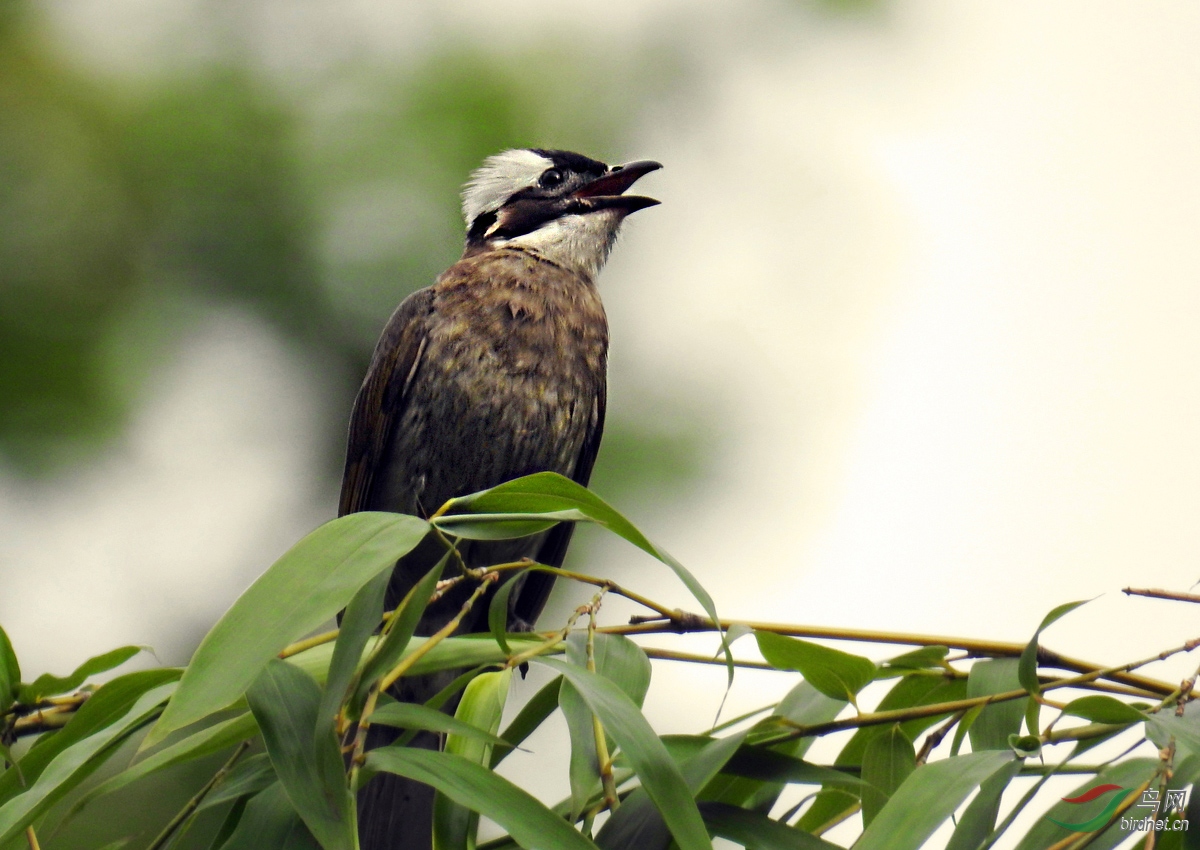 DSCN0540 ����2.jpg