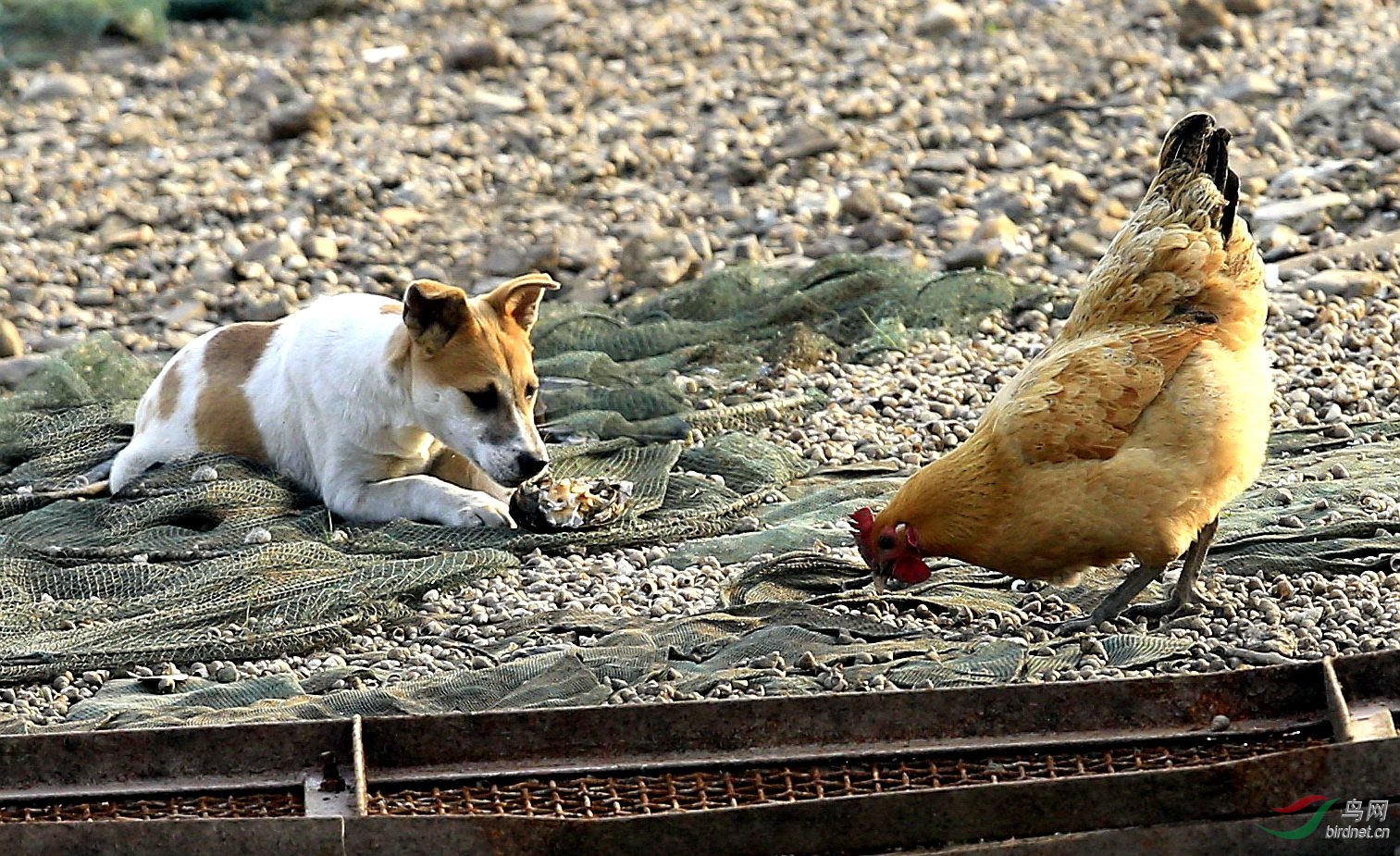 ��������ͷ�ܳ�ô��