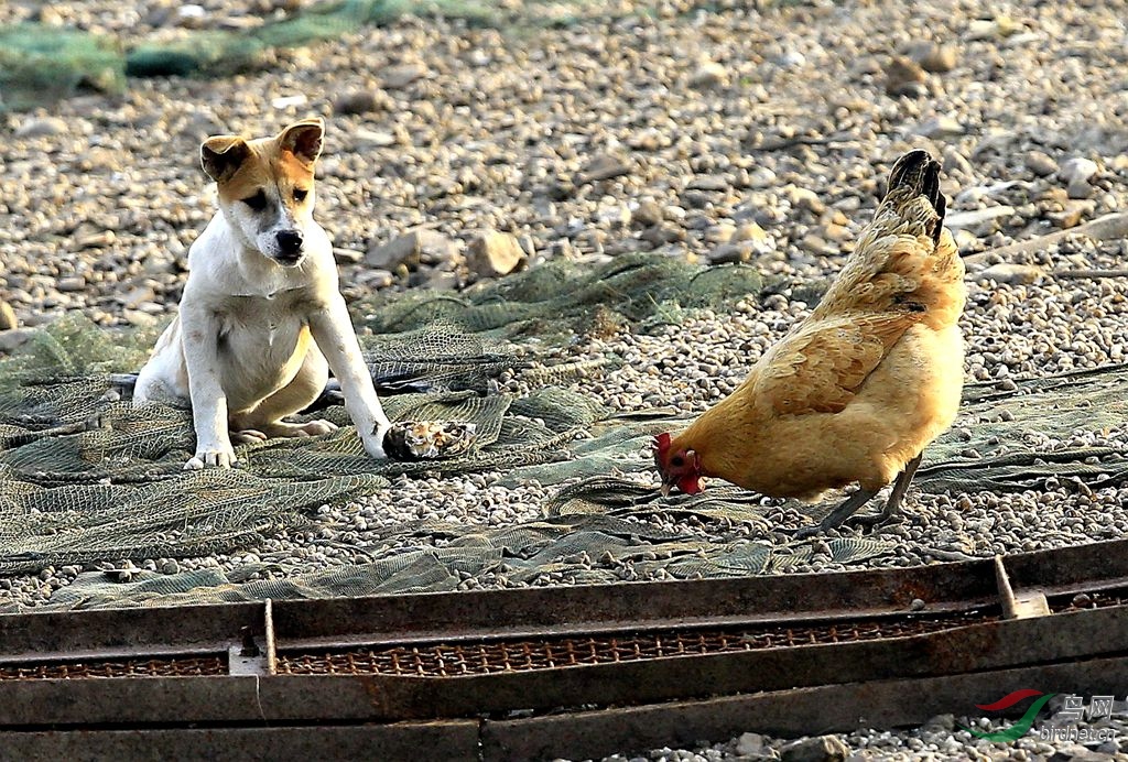 ��զ���ó�����󣿡�