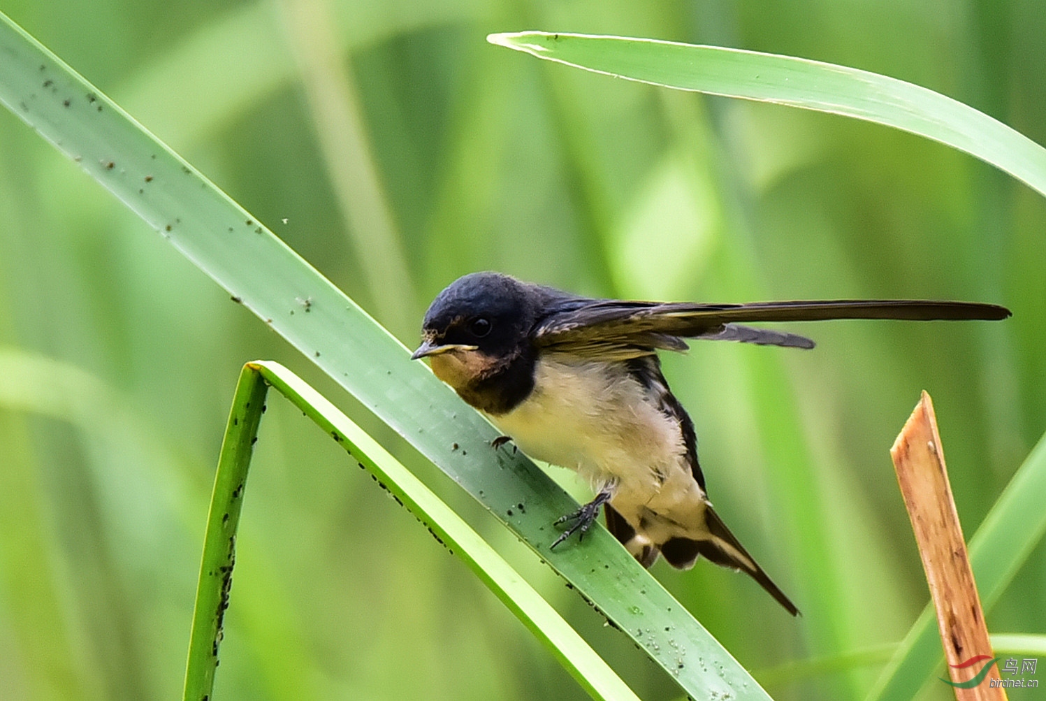 dsc_7455_副本小图.jpg