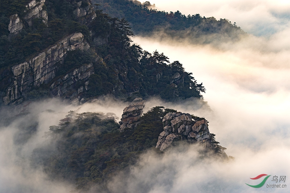 《庐山云海》