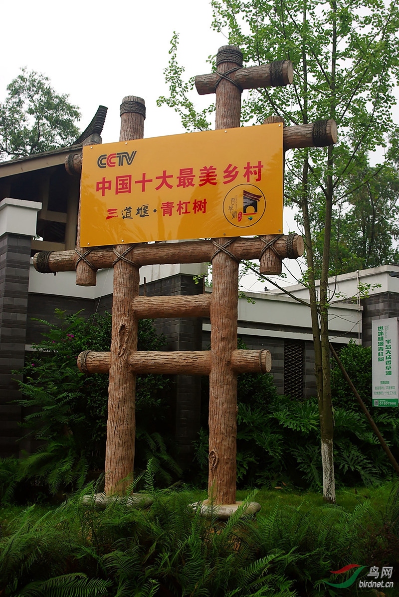 最美村庄 四川郫县三道堰青杠村