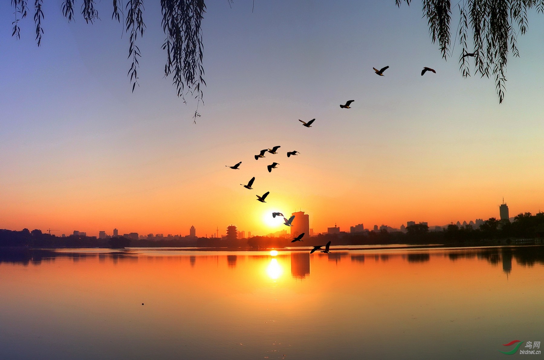 大明湖日出