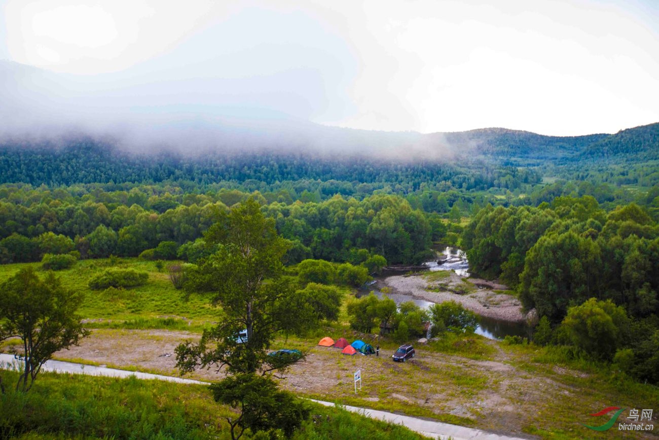 阿荣旗林区惊艳美景醉了影人