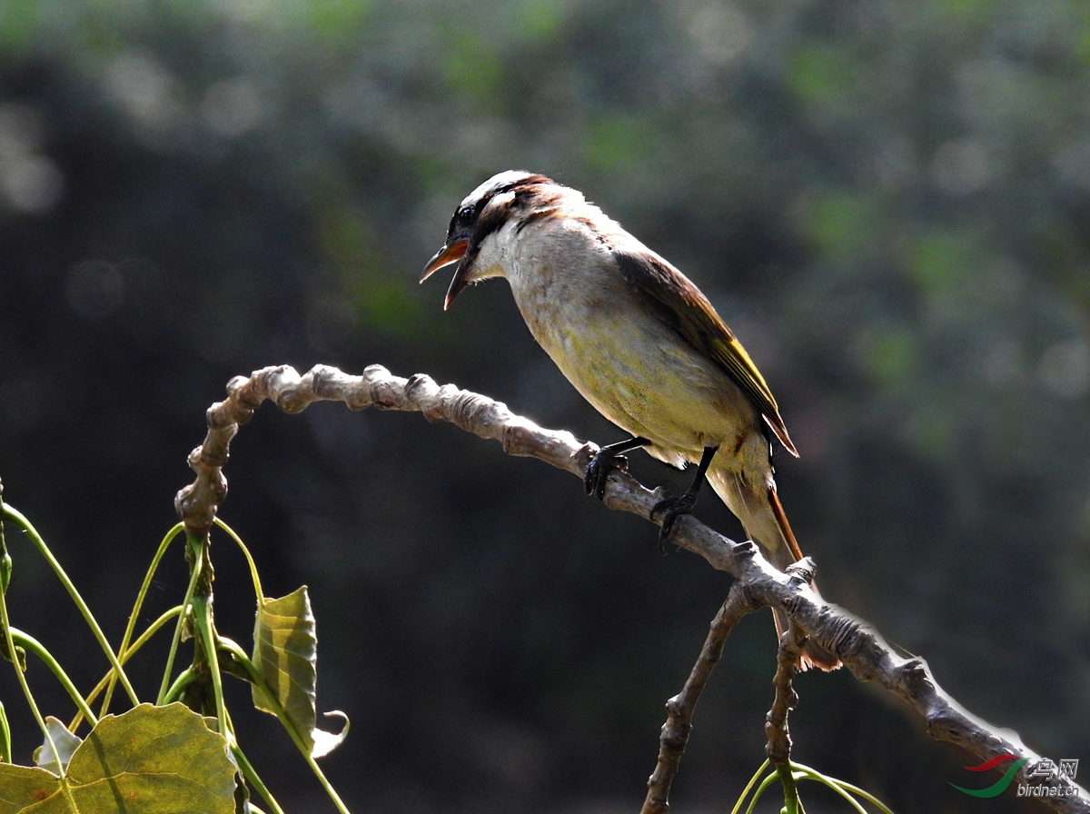 DSCN3071 ����.jpg