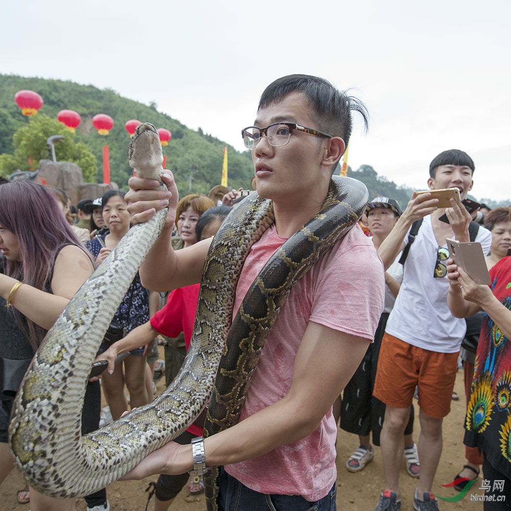 南平樟湖板镇蛇节图片