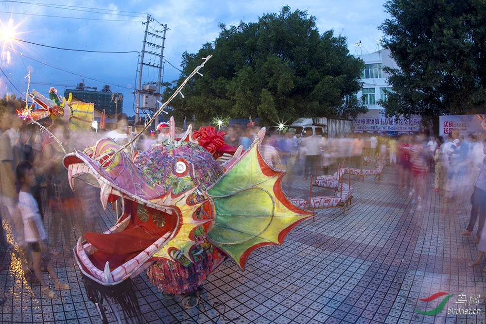 樟湖蛇文化节的蛇灯