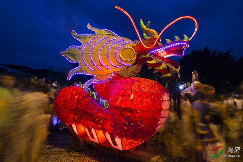 樟湖蛇文化节的蛇灯