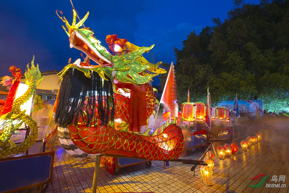 樟湖蛇文化节的蛇灯