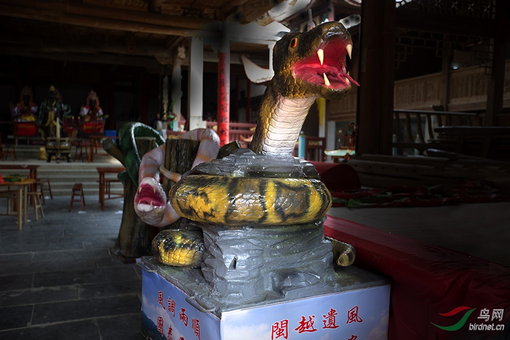 樟湖蛇节文化历史图片