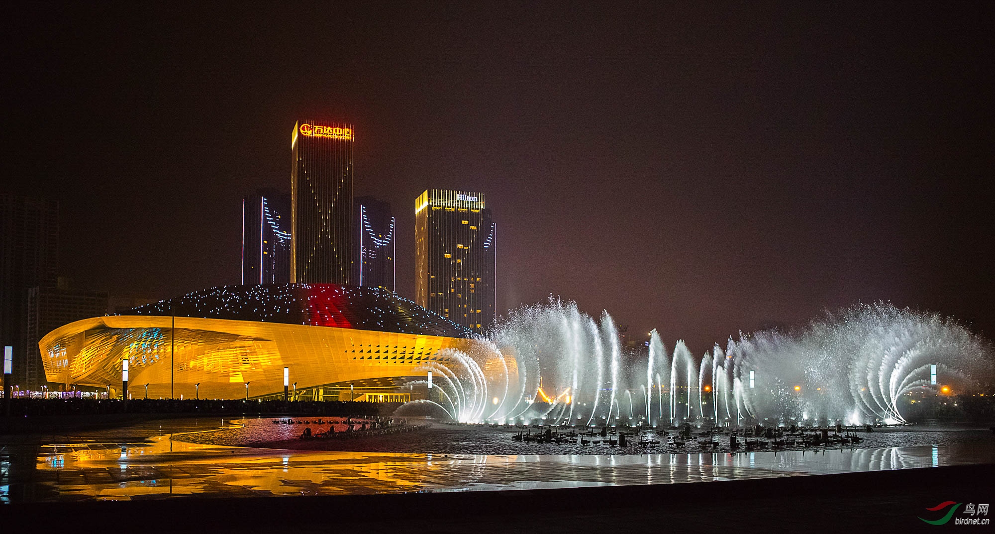 大连东港夜景图片