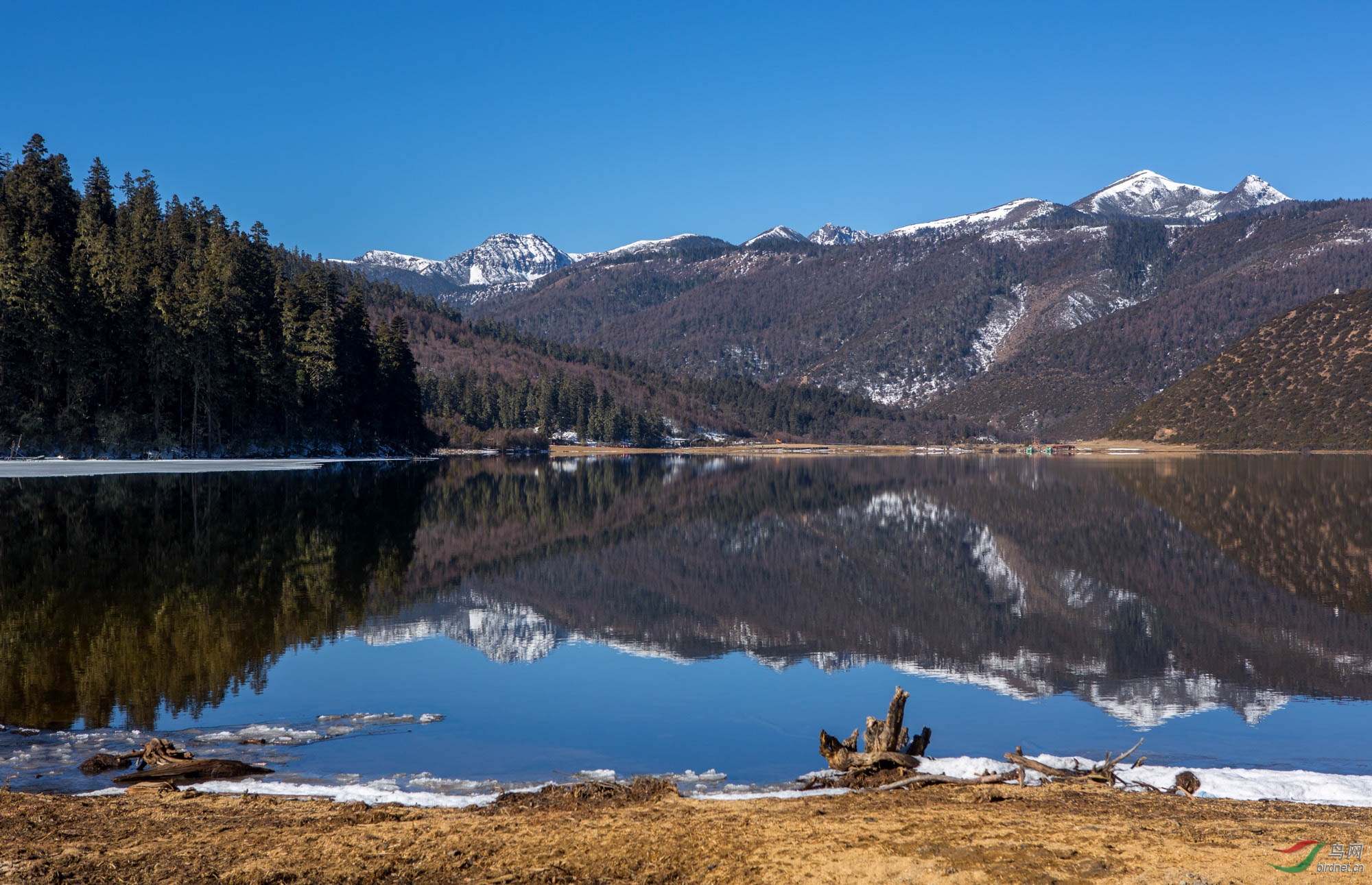 香格里拉普达措风光