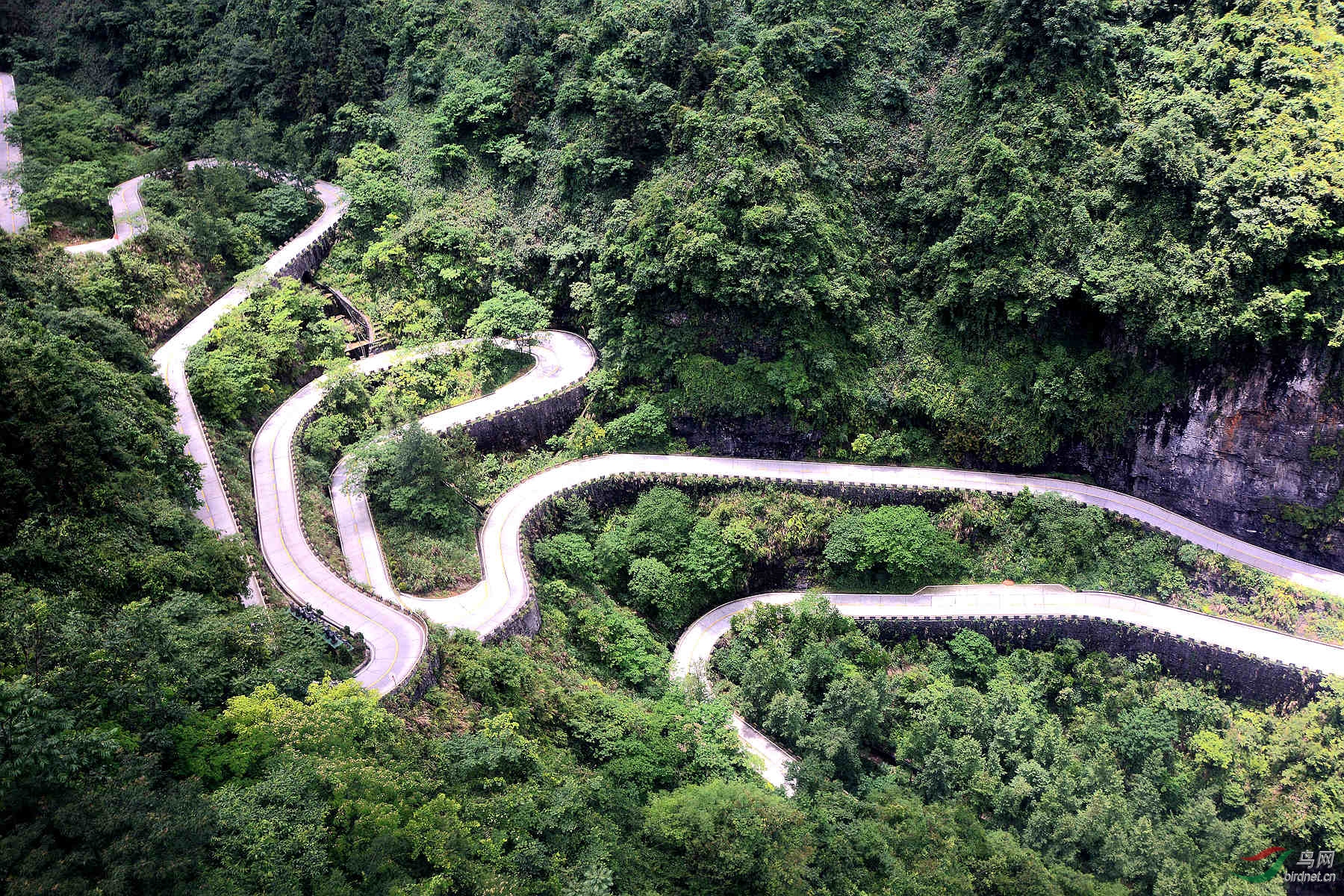 张家界进天门山的九十九道拐