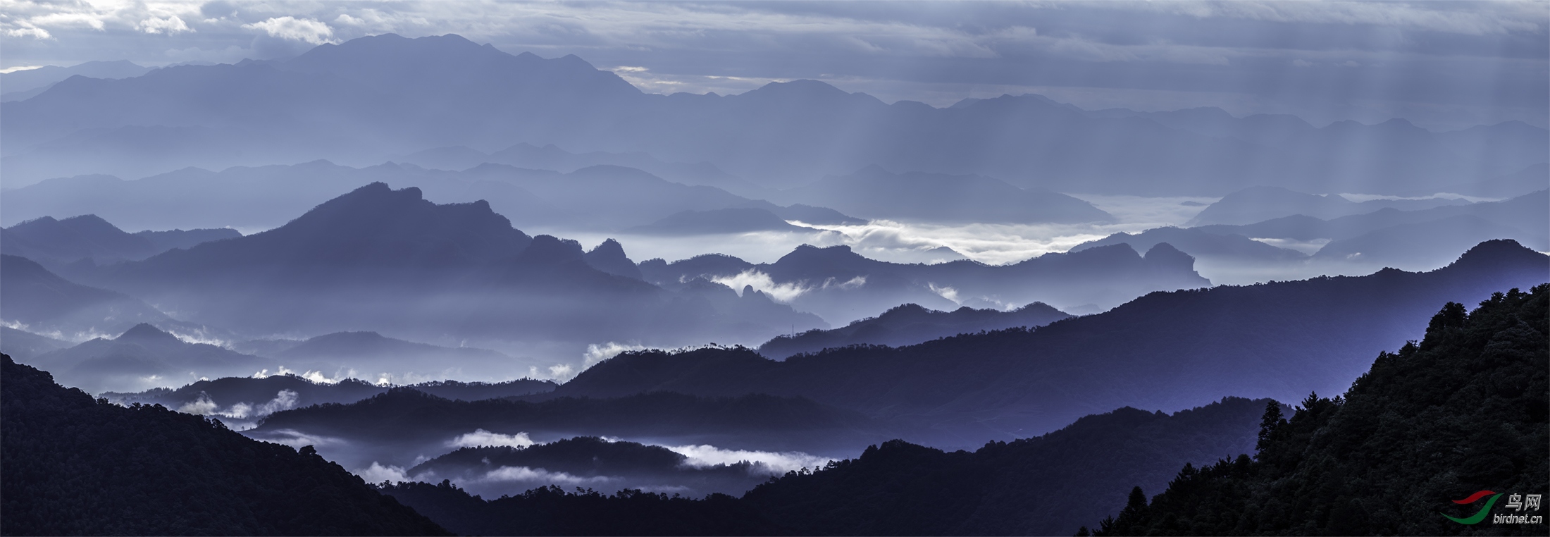 苍山如海