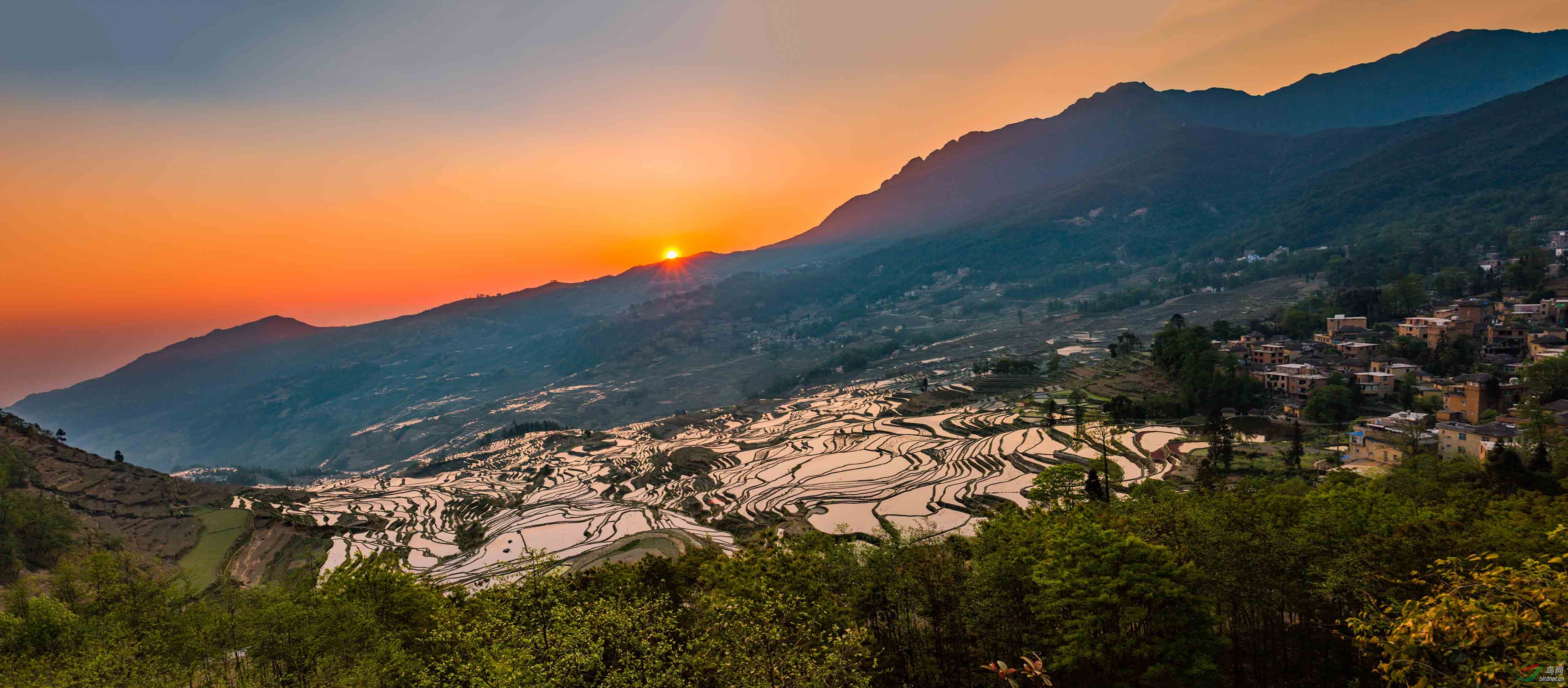 多依树日出接片