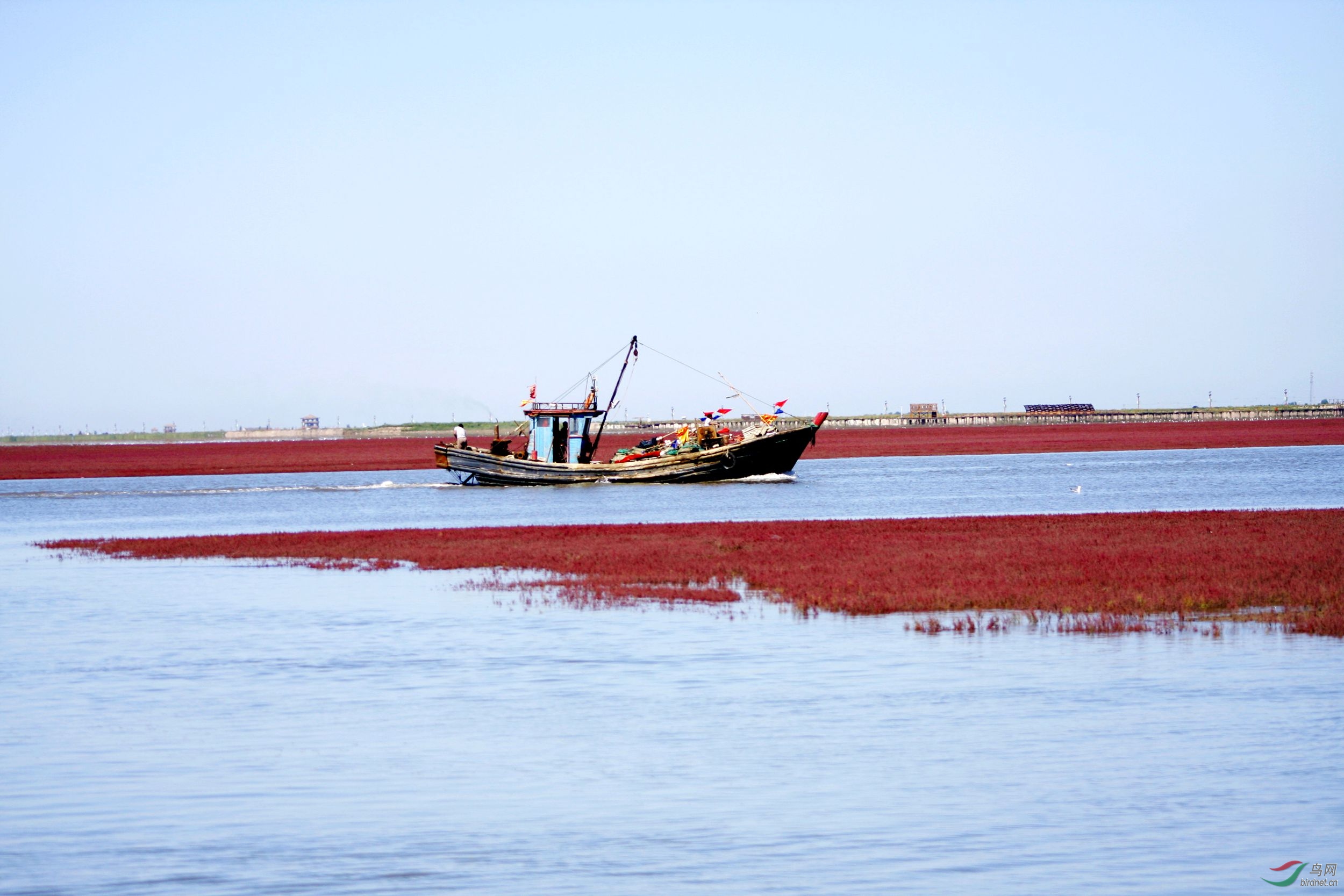 二界沟红海滩长廊