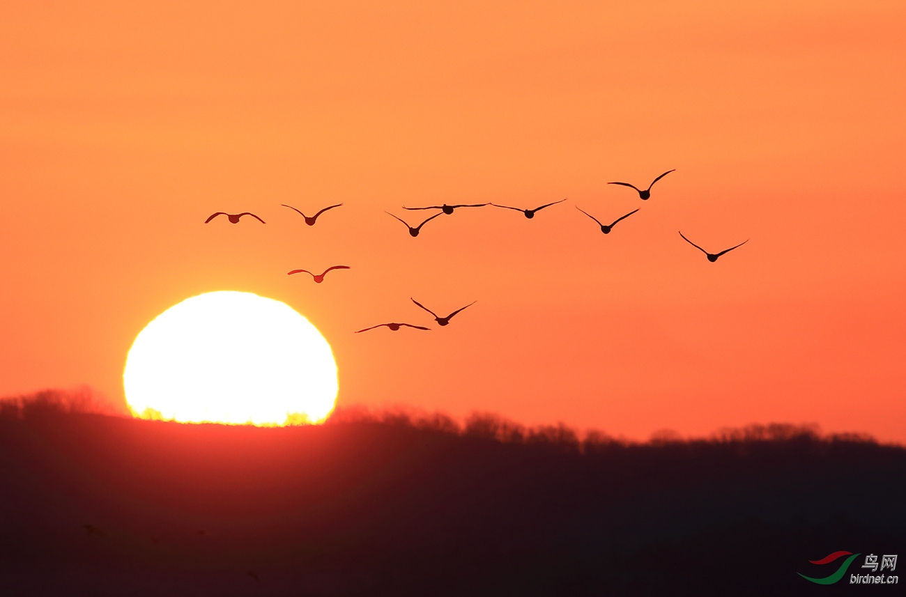 一轮红日耀东方