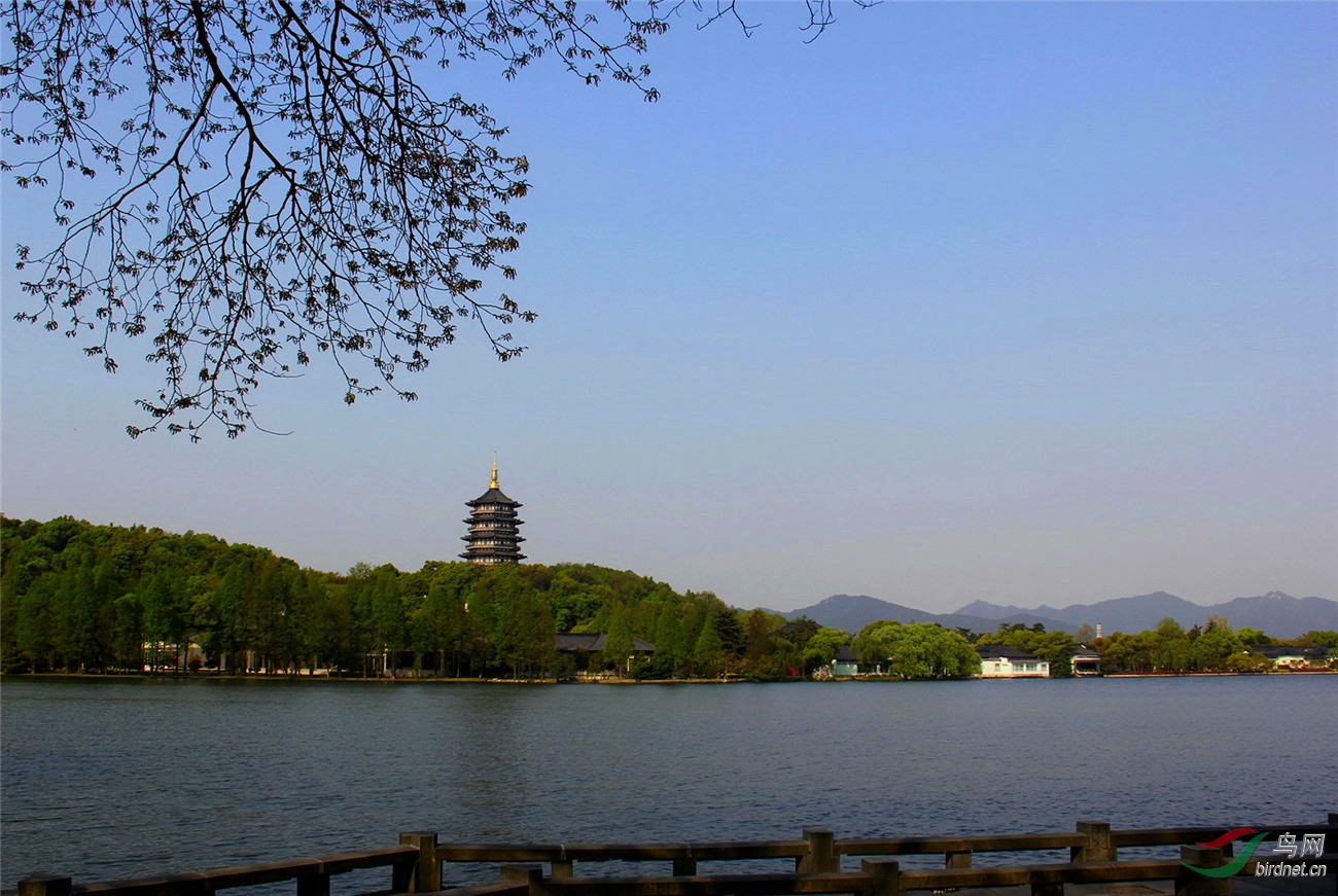 杭州凤凰公园图片