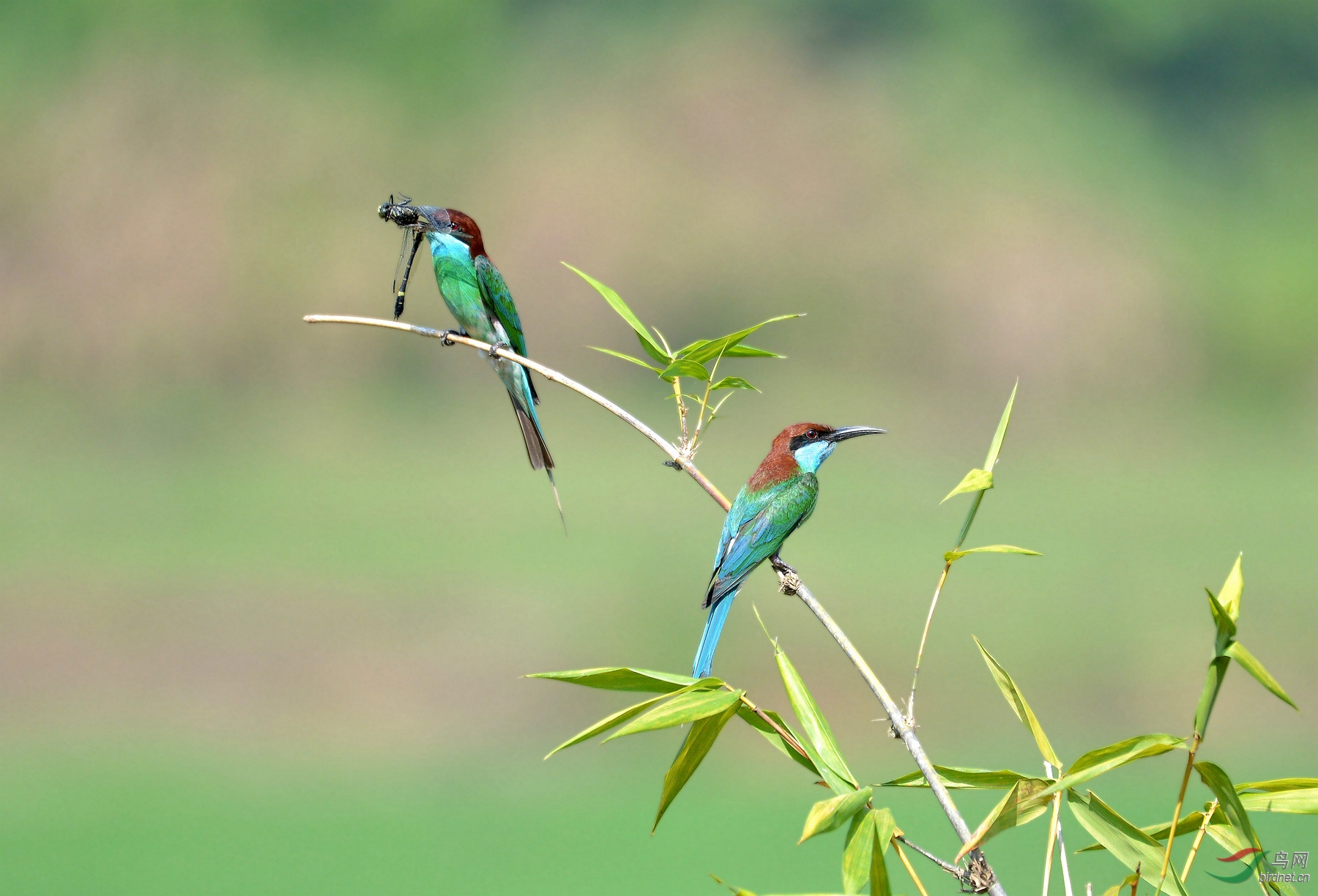 同栖一枝冷暖自知周末快乐