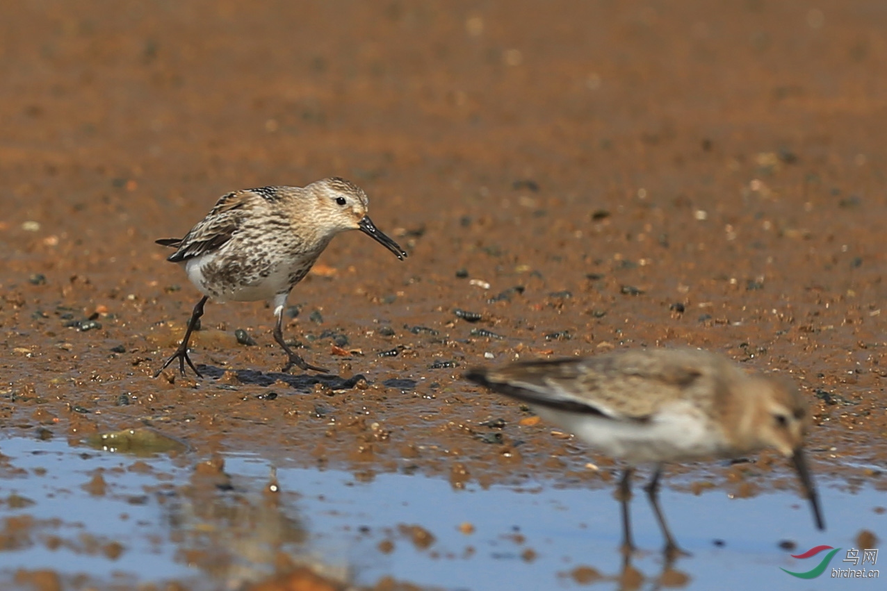 摄于大连海滨.多谢!