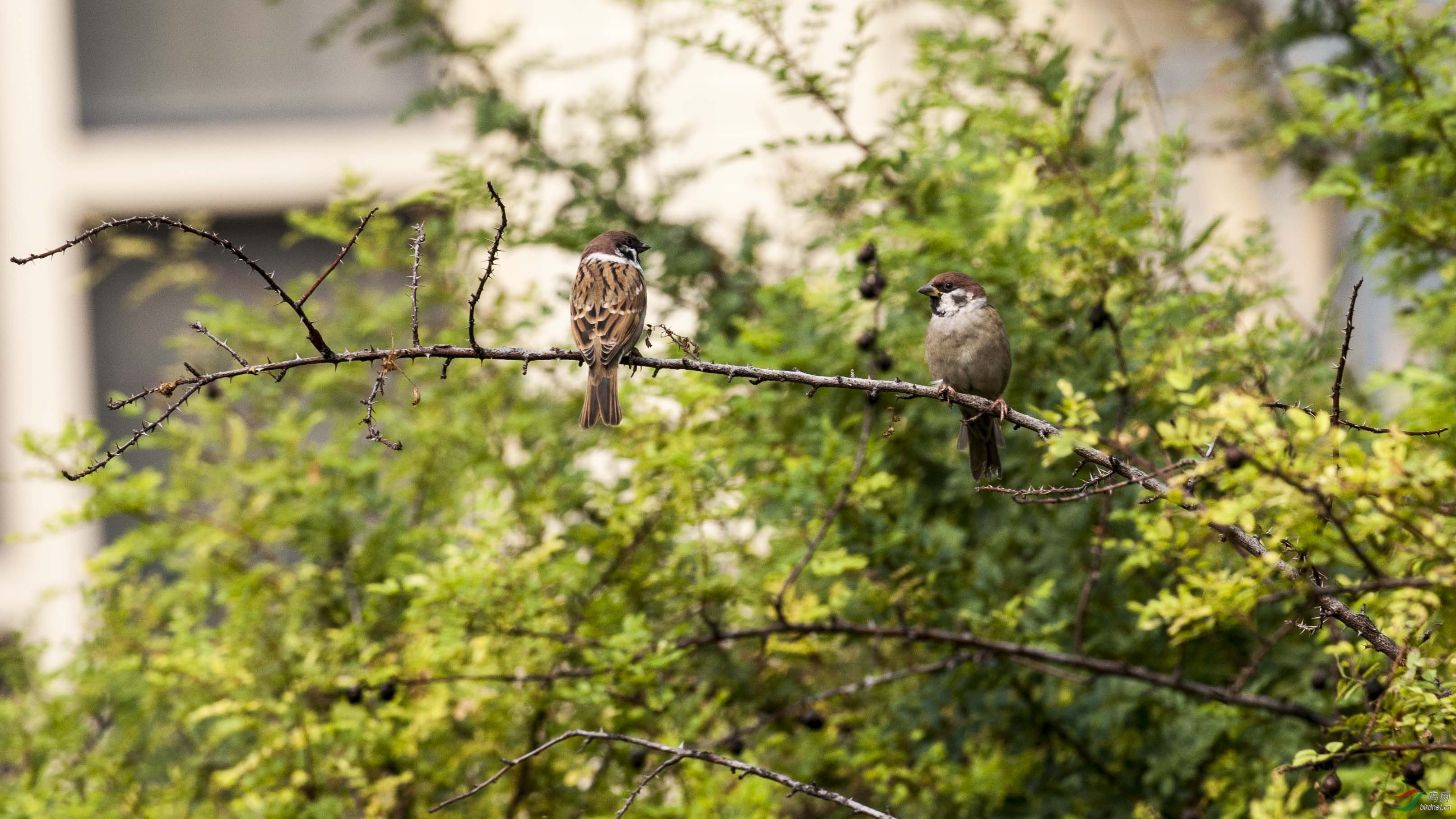 DSC_8489.jpg
