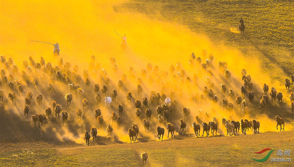 万马奔腾狼烟四起祝贺图1荣获首页精华图片