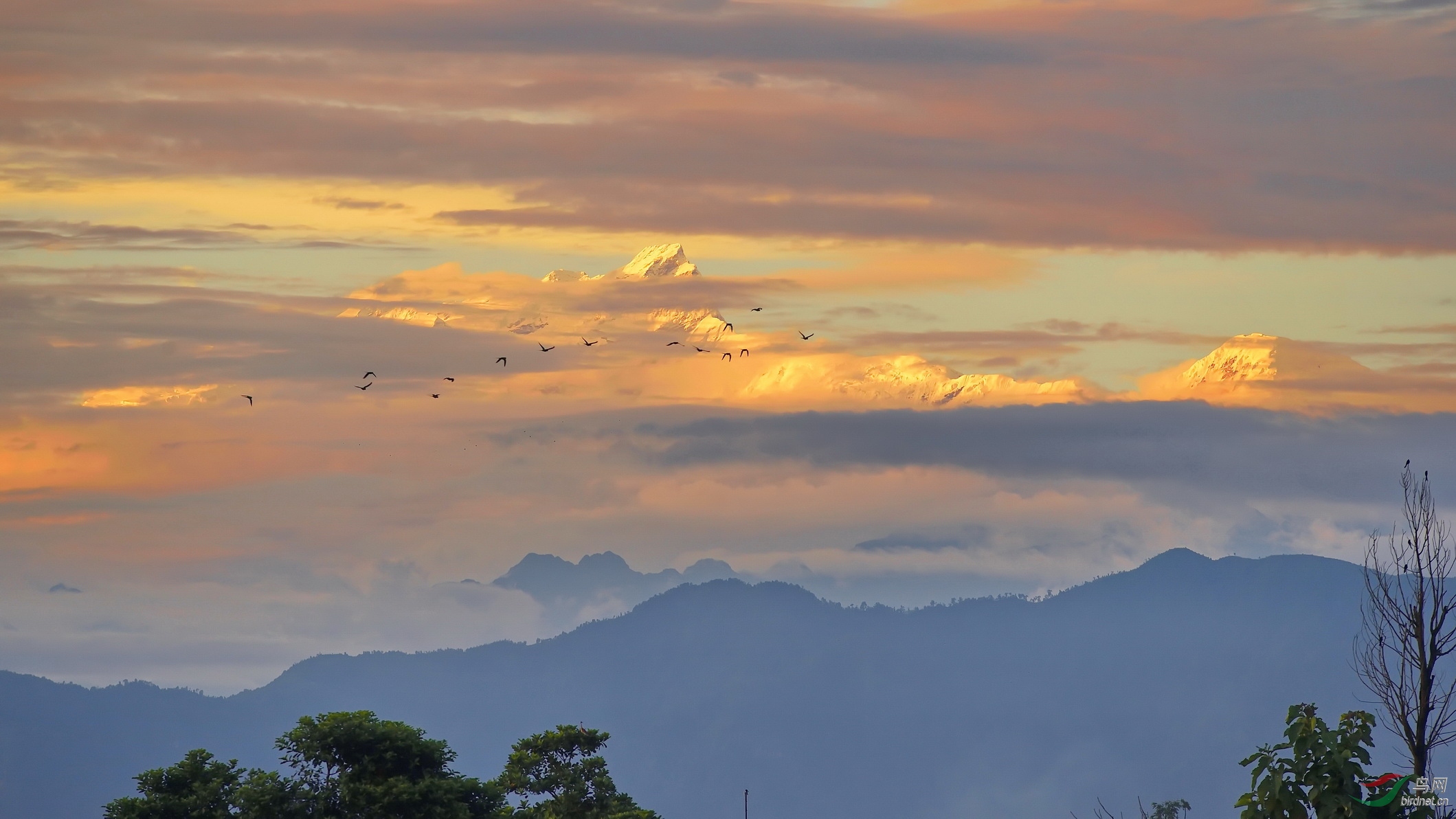 山气日夕佳飞鸟相与还