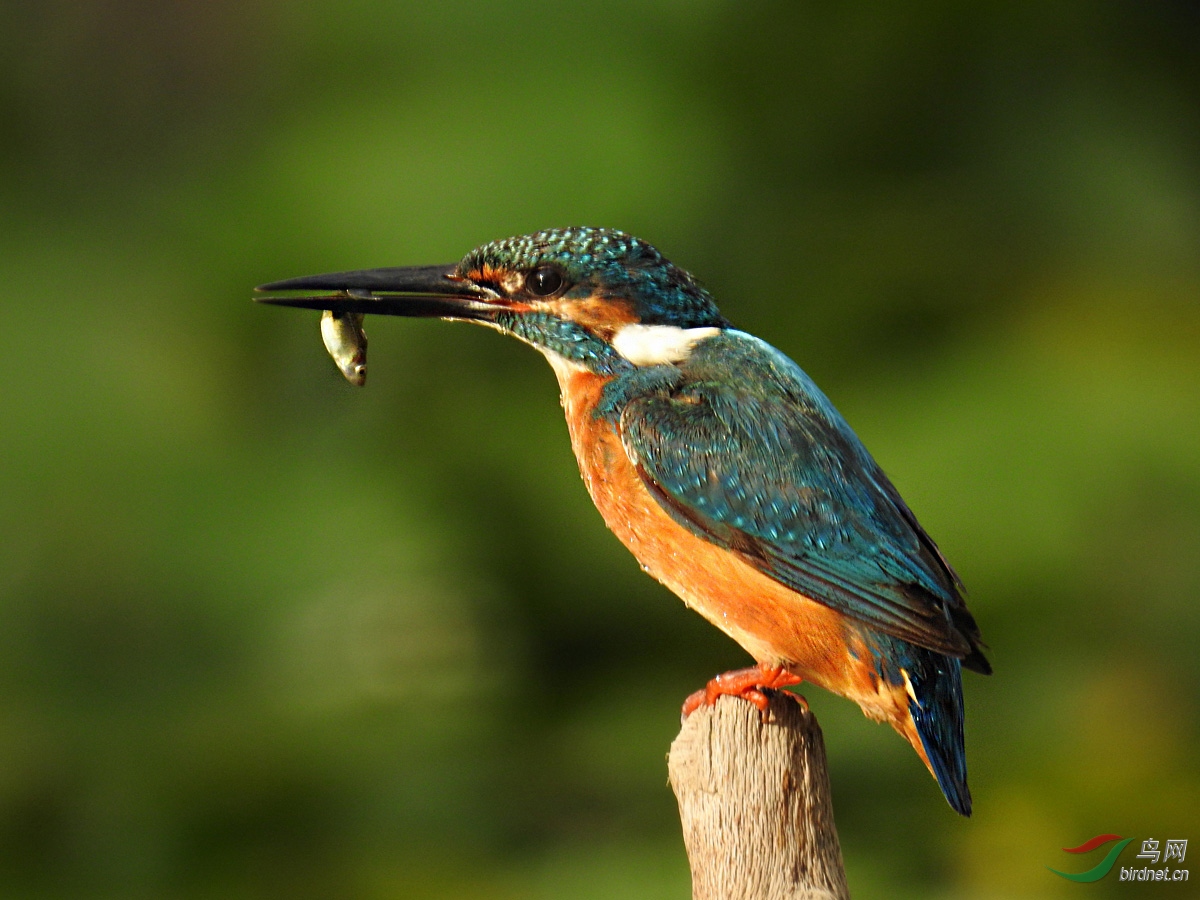 15 ����2.jpg