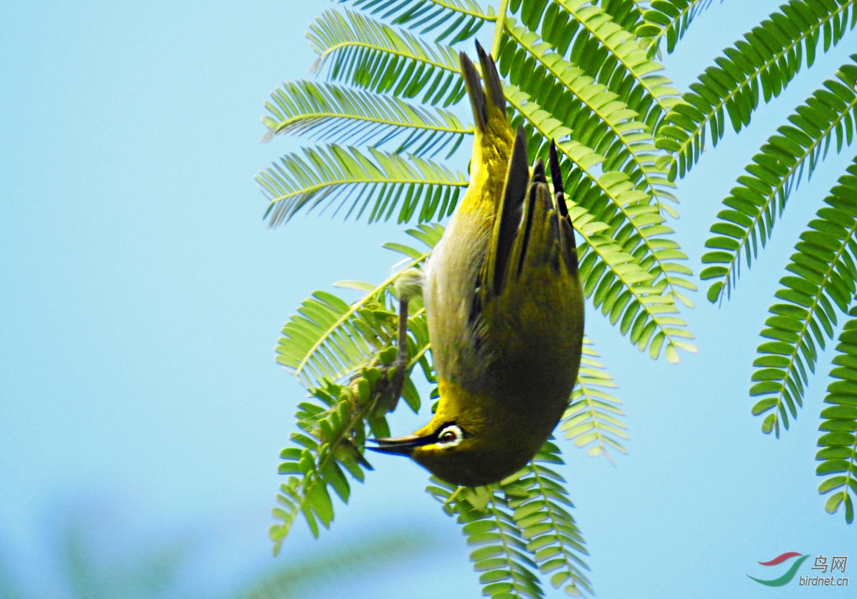 DSCN7309 ����2.jpg