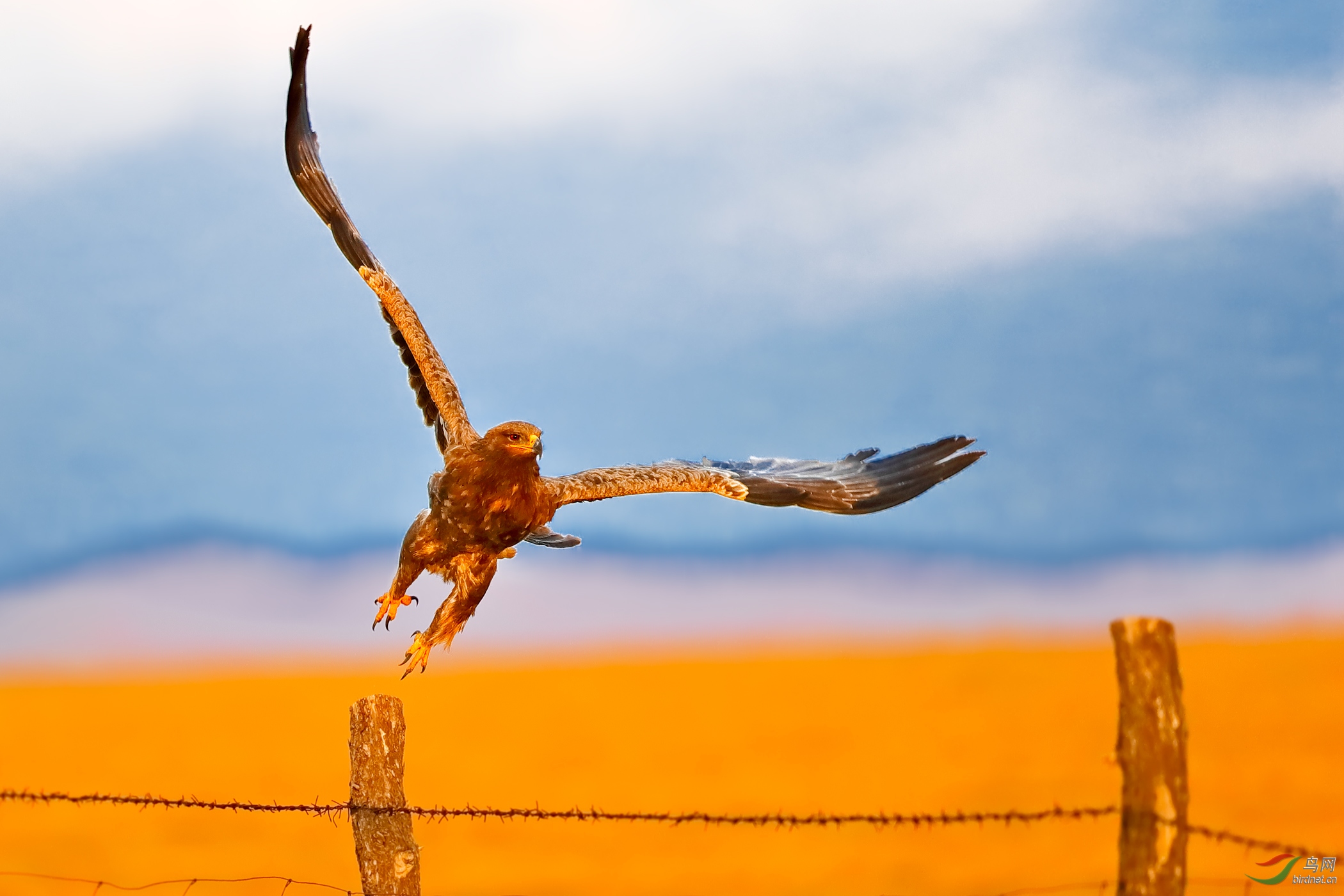 雕起云变威慑四方