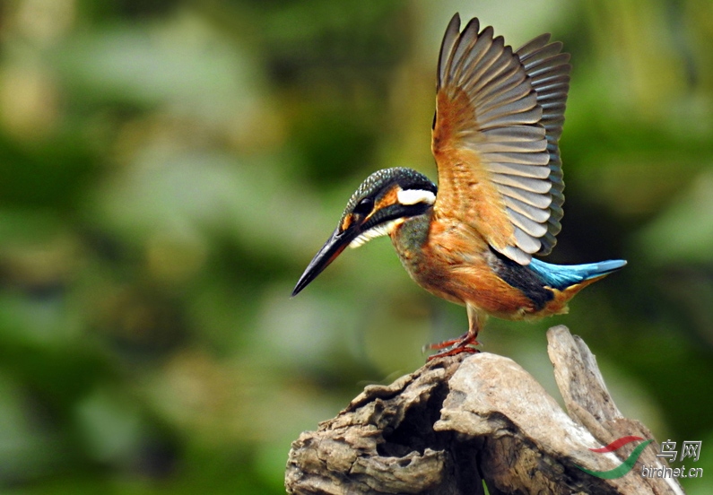 DSCN5568 ����2.jpg