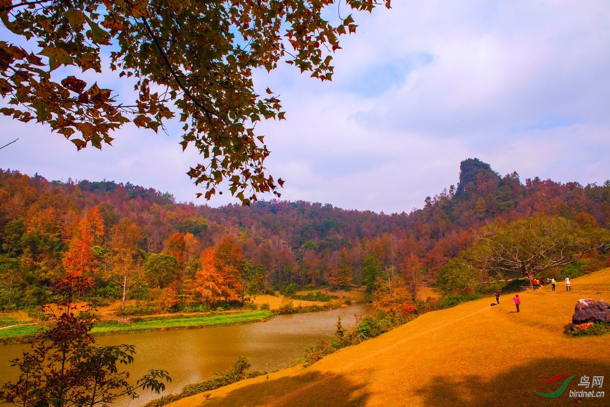 摄于广西德保县