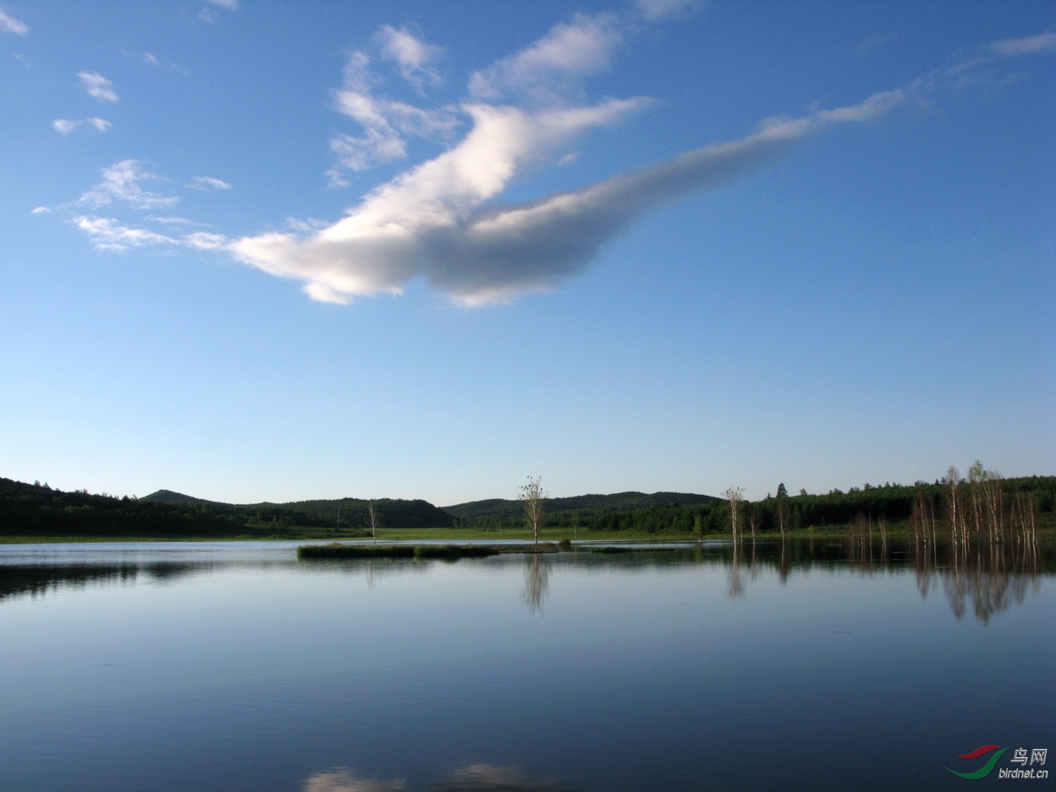 黑龍江鶴崗,夏日紅旗水庫,溼地上的一抹雲.