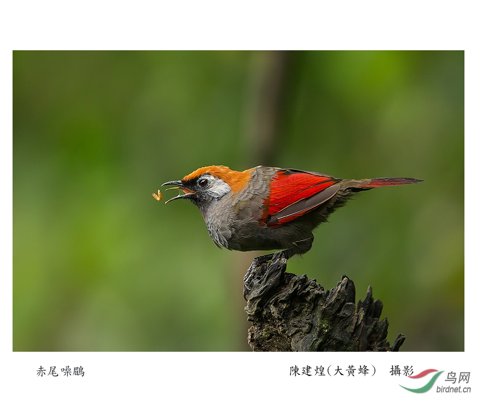 ��β���B_X6B6444-3.jpg