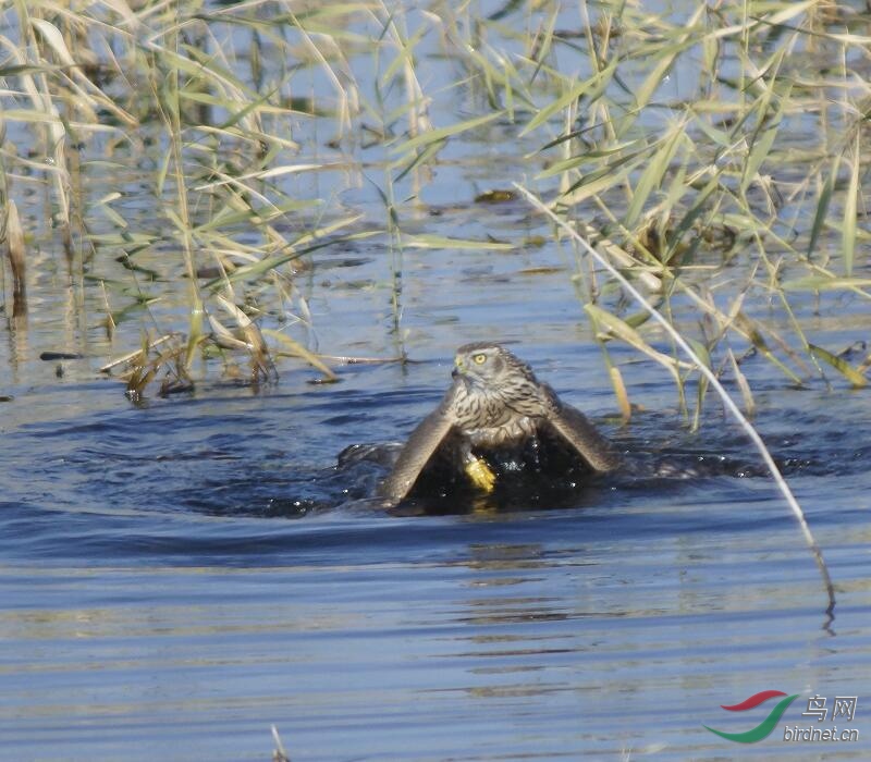 ����.jpg 1.jpg