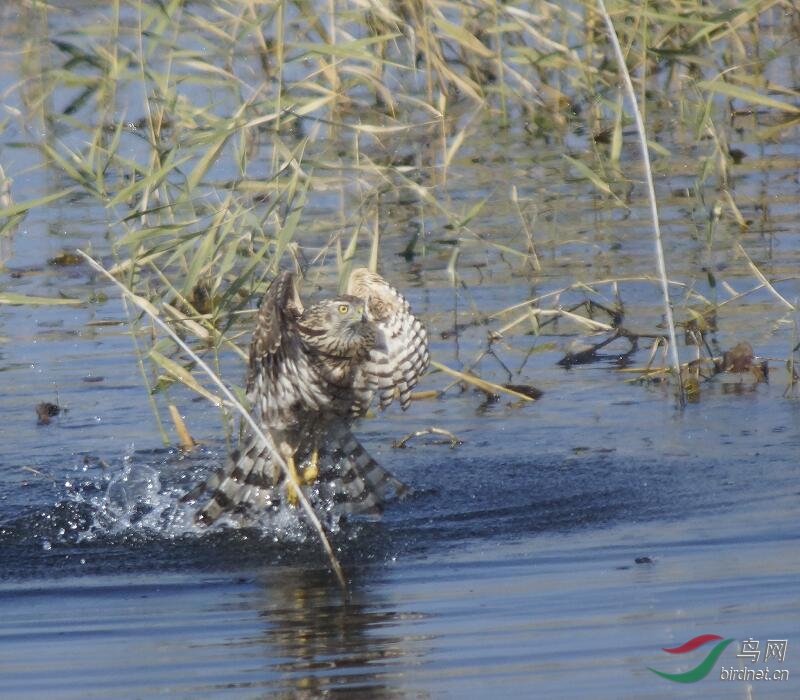 ����.jpg 3.jpg