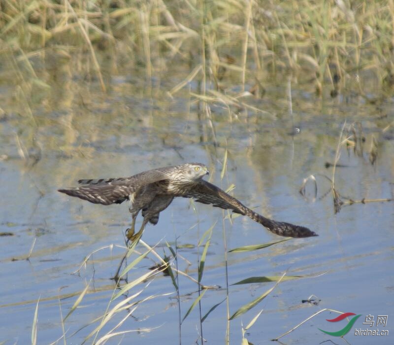 ����.jpg 4.jpg